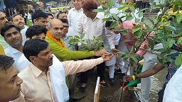 विधायक मूलचंद शर्मा ने बल्लबगढ़ के बस अड्डा मार्केट से पौधरोपण कार्यक्रम की शुरुआत की